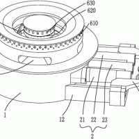 用户如何在英国热马品牌中选择适用的低氮燃烧器？