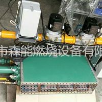 利雅路RS810（普通排放）（RS300-800M BLU）说明书下载 riello rs