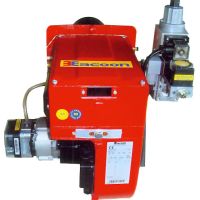 中国天然气高质量发展报告（2020印刷版）