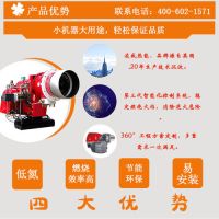 单段火燃烧器与双段火燃烧器